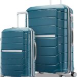 Checked Luggage